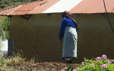 Interventions stagiaires/élèves/structures